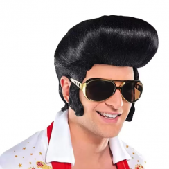 2 Pcs Black Rock N Roll Star Elvis Presley Wig